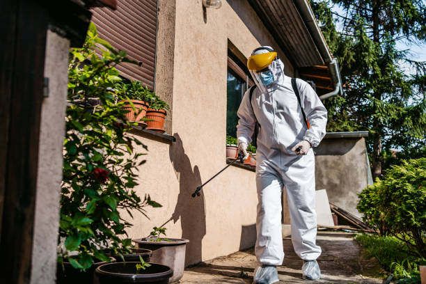 Best Spider Control Near Me  in Stevensville, MI