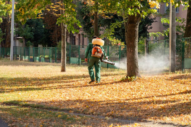 Best Best Pest Control Companies  in Stevensville, MI