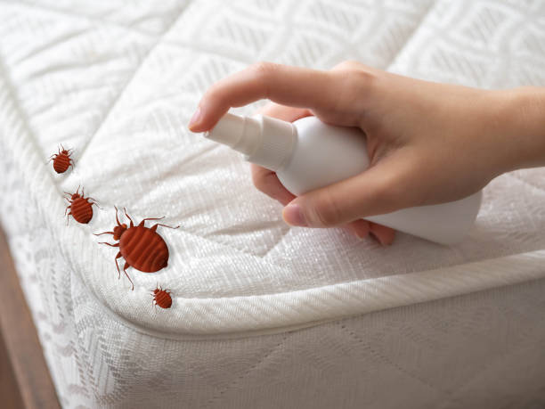 Best Pest Prevention Services  in Stevensville, MI